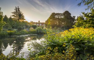 'Sunrise at Dale Farm' by Annie Green-Armytage (#164597)