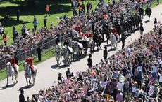 royal wedding horses