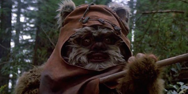 Wicket in Return of the Jedi