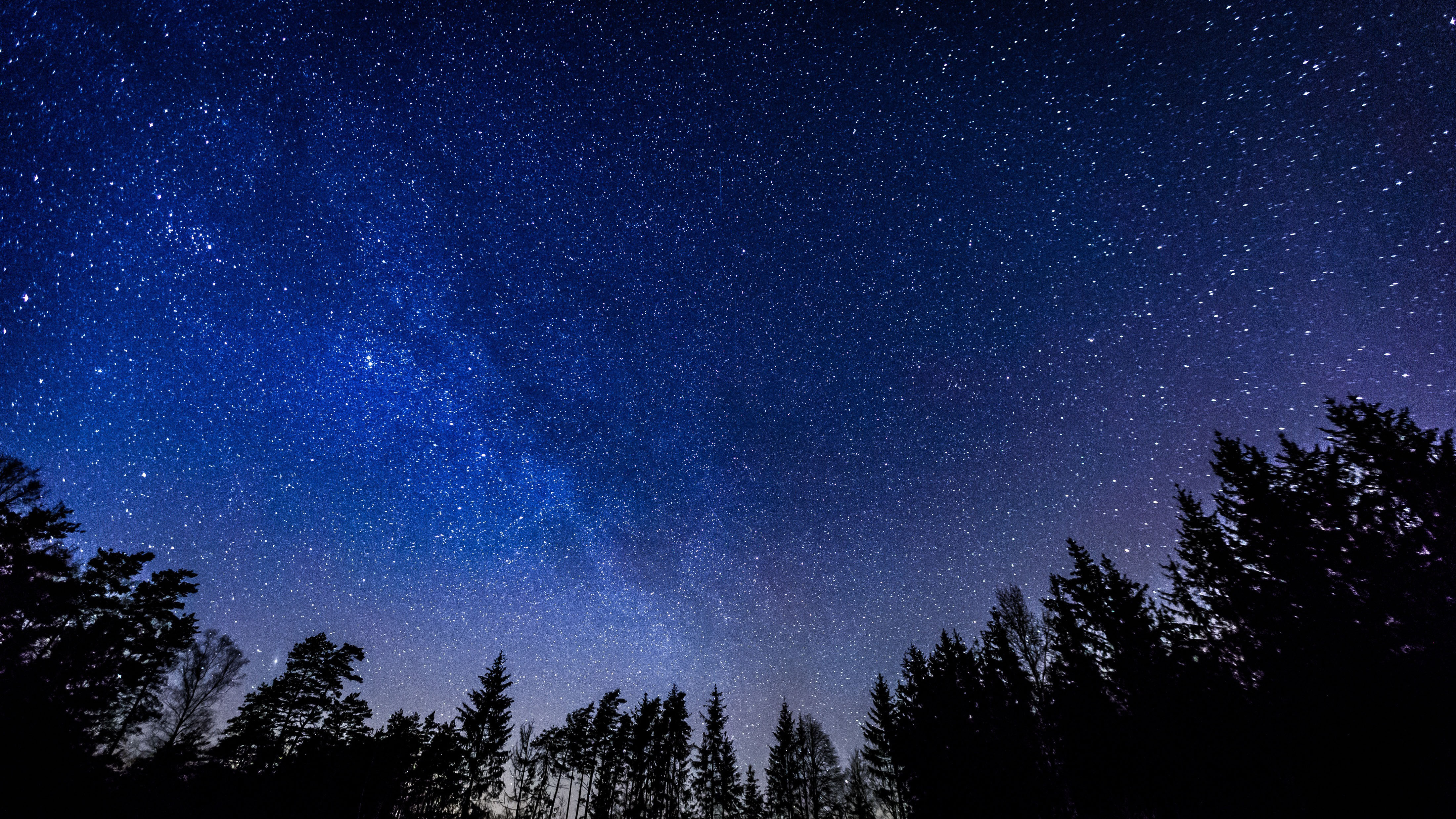 Night sky.