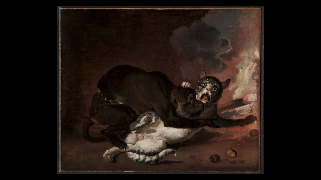 "The Monkey and the Cat" Abraham Hondius