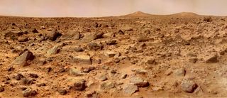 Studying how life evolved on Earth could lead to a better understanding of habitability conditions in other locations, such as Mars.
