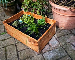 upcycled wooden wine box used as a herb planter