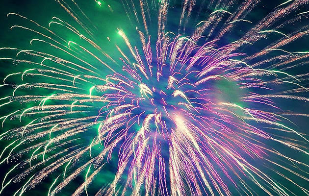 Horses can be shared by the bright lights and loud noises associated with fireworks