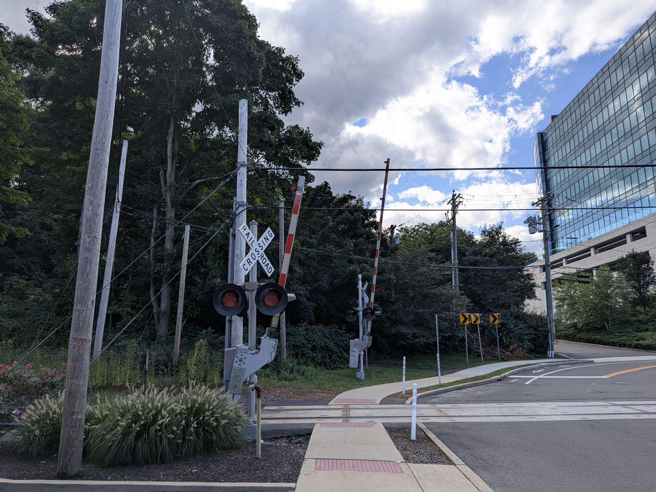Google Pixel 9 Pro Fold camera image samples