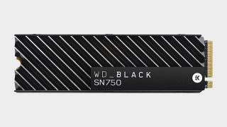 Primary Storage: WD Black SN750 2TB NVMe SSD with Heatsink