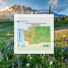 Outdoor landscape and map of Washington State Planting Zones
