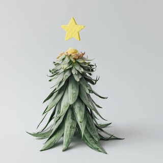 pineapple christmas tree with white background and yellow star
