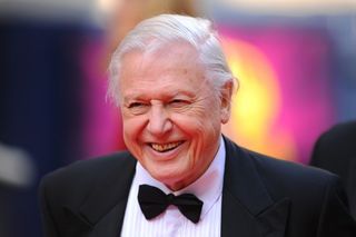 BBC personality Sir David Attenborough