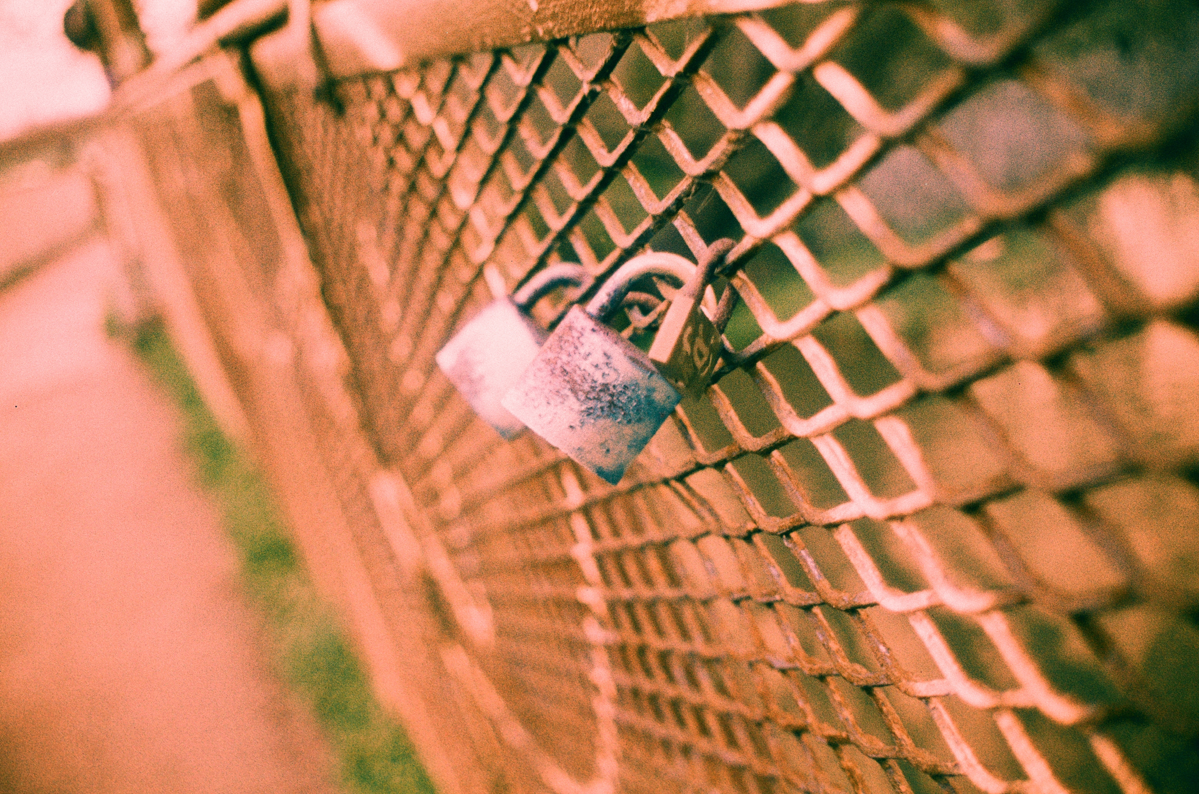 Harman Switch Azure 35mm film sample image