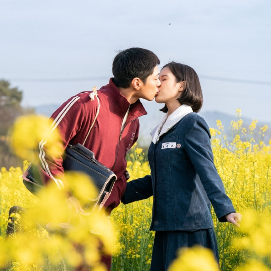 a couple kisses in a field surrounded by yellow flowers in when life gives you tangerines