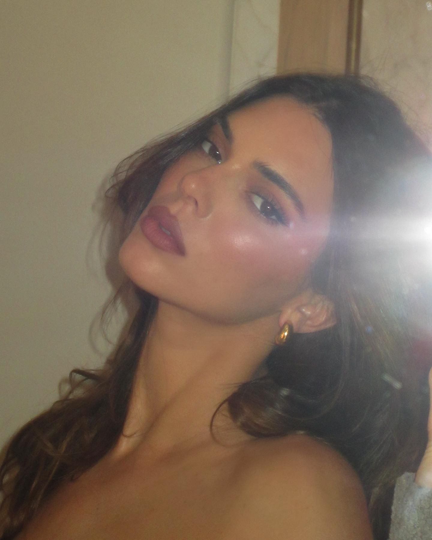 Photo of Kendall Jenner wearing shimmery blush