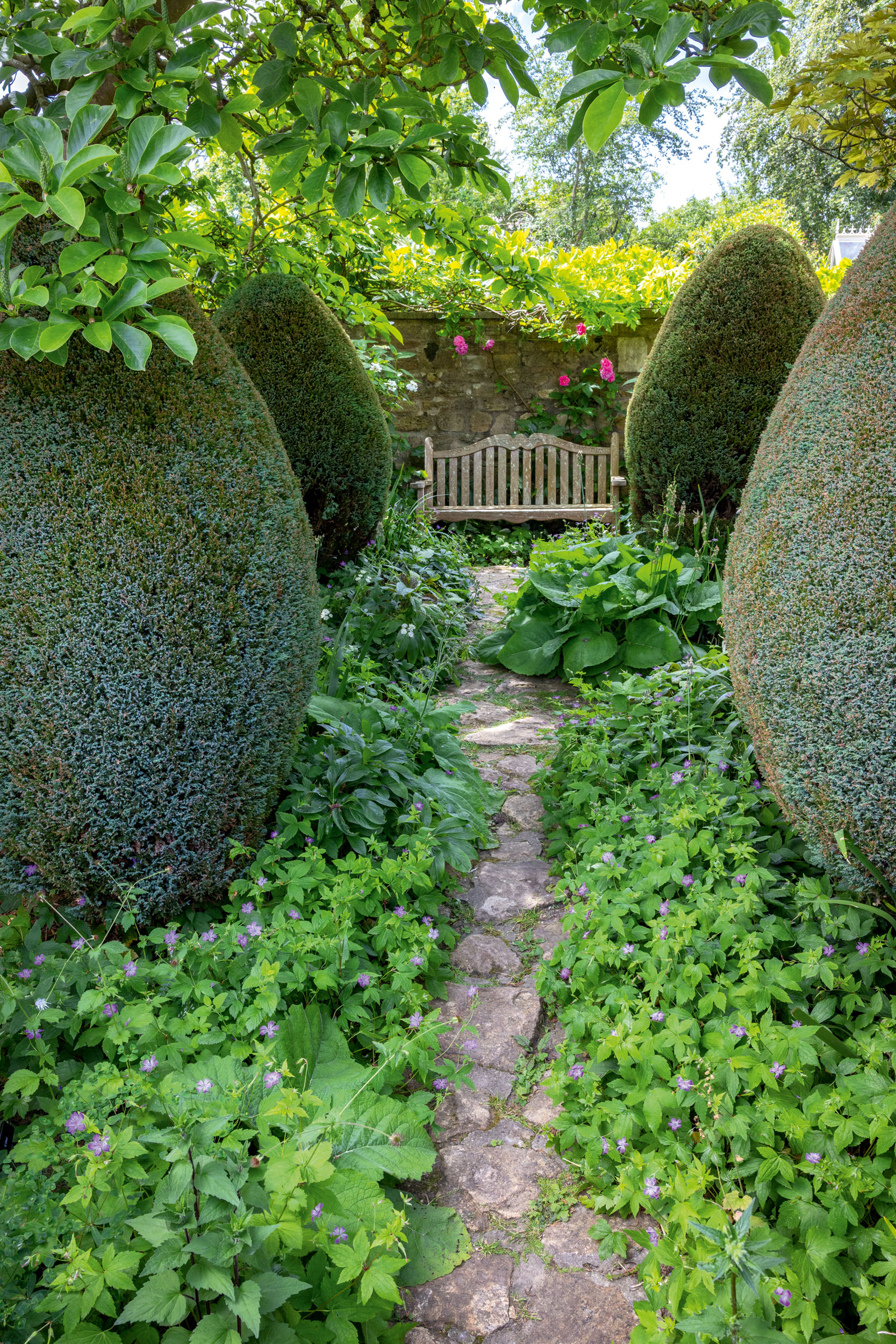 East Lambrook Manor in Somerset &amp;mdash; home of Andrew and Alison Johnson &amp;mdash;&amp;nbsp;as it appeared in Country Life in July 2026