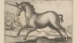Post image 7