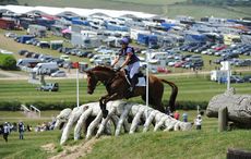 HorseN270_Barbury15pn_26102.jpg