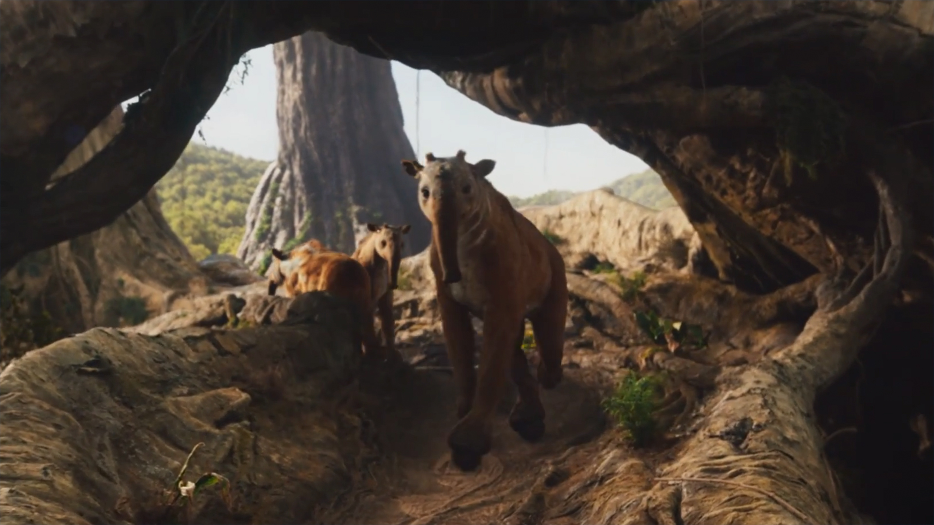 Um Mulefa de Seus Materiais Escuros