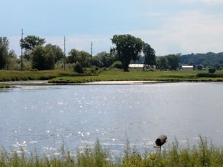 OnePlus Nord N200 5G camera samples