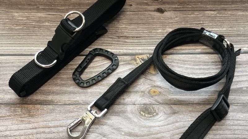 The new anti-theft dog lead