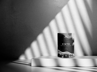 Ento Collective insect protein powder