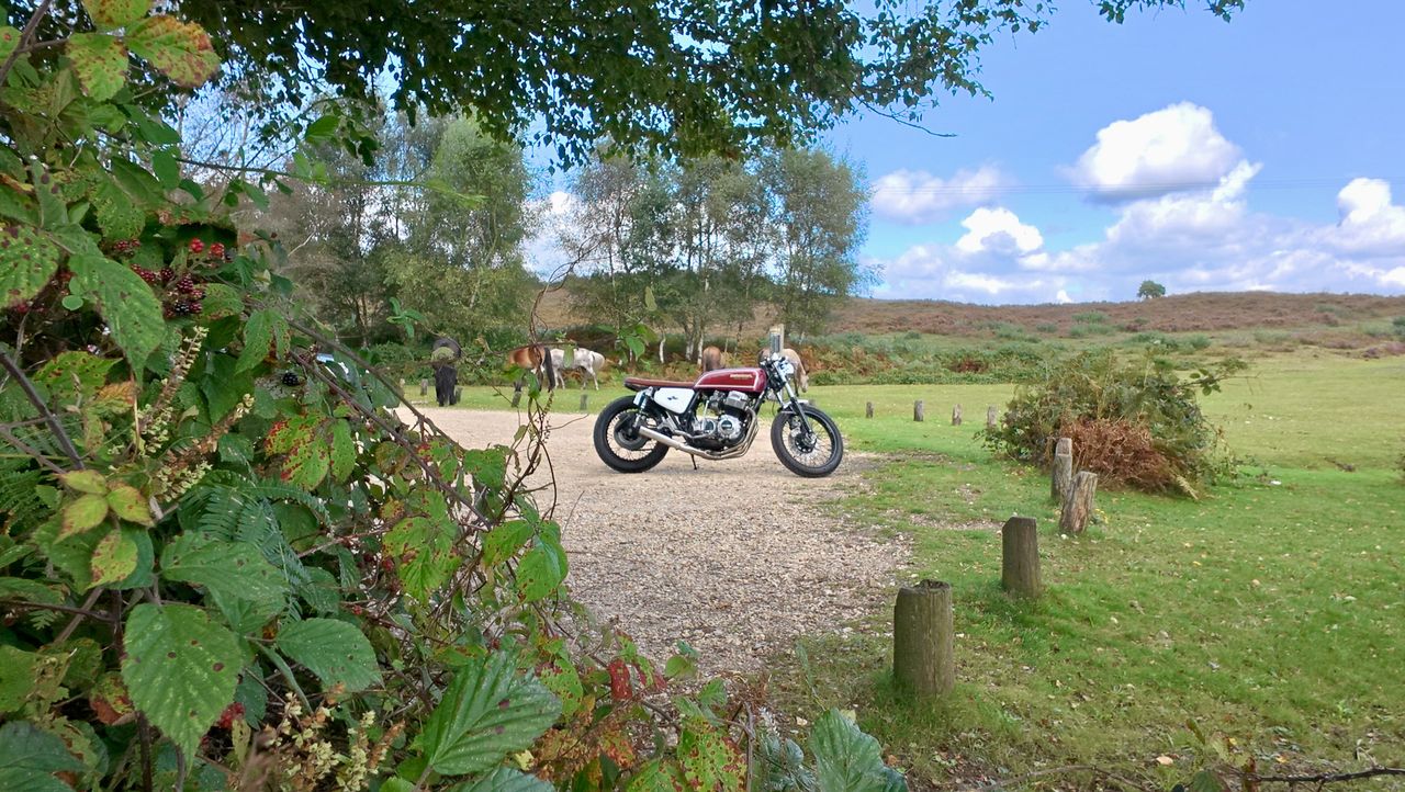 DJI Osmo Action 5 sample images
