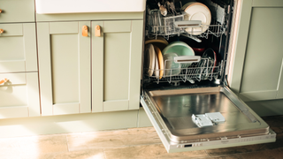 dishwasher filled with clean dishes in a green cabinet kitchen