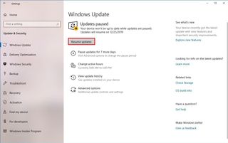 Resume Windows Update option