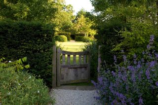 garden design ideas: gateway onto lawn