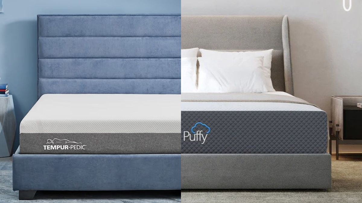 Tempur-Pedic Tempur-Cloud vs Puffy Cloud: Which foam mattress is best ...