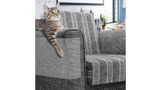 Anti-scratch cat pad on sofa