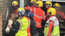 rescue1-1.jpg
