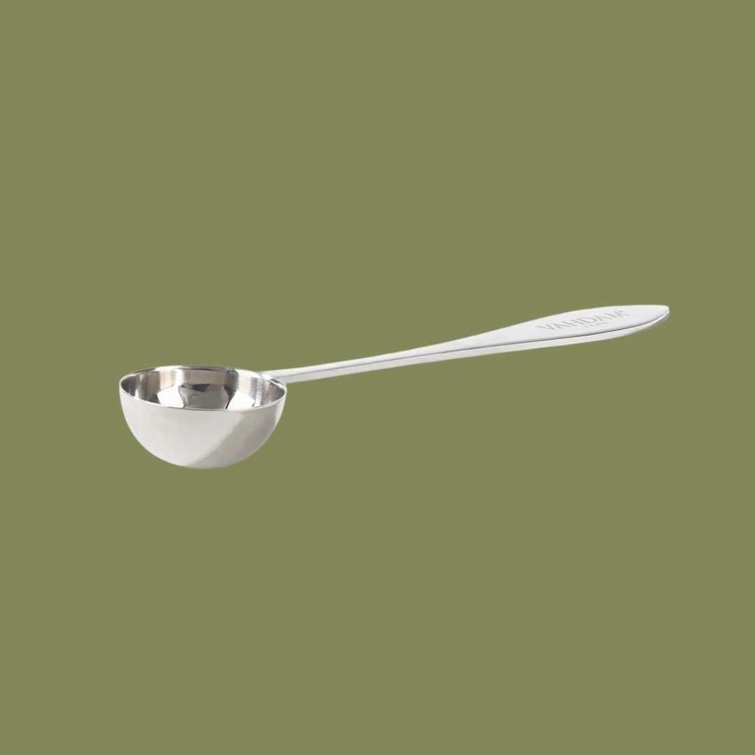 VAHDAM Perfect Serve Loose Tea Spoon in stainless steel against musk green background.