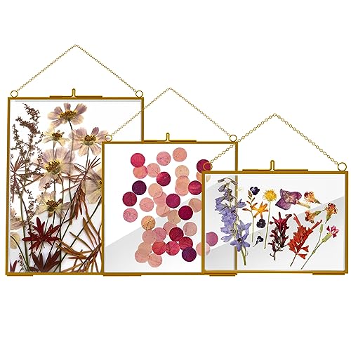 Hsdsh 3 Pcs Glass Picture Frame for Pressed Flower,golden Hanging Photo Frame Clear Glass Artwork Display Frame With Chain for Dried Plant Gallery Wall Decor Diy Home Wall Art