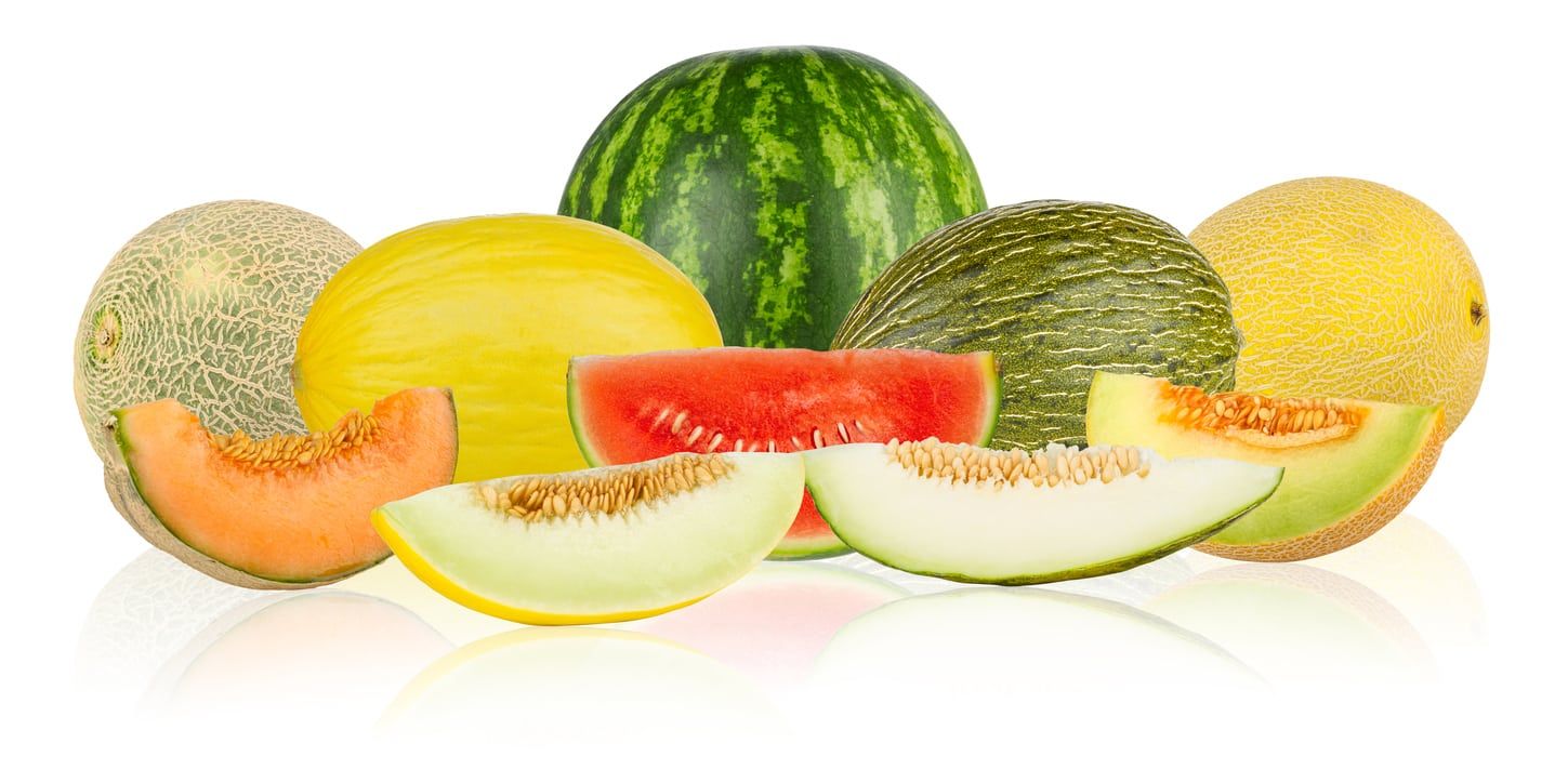 Zone 6 Melon Varieties &ndash; Can You Grow Melons In Zone 6 Gardens