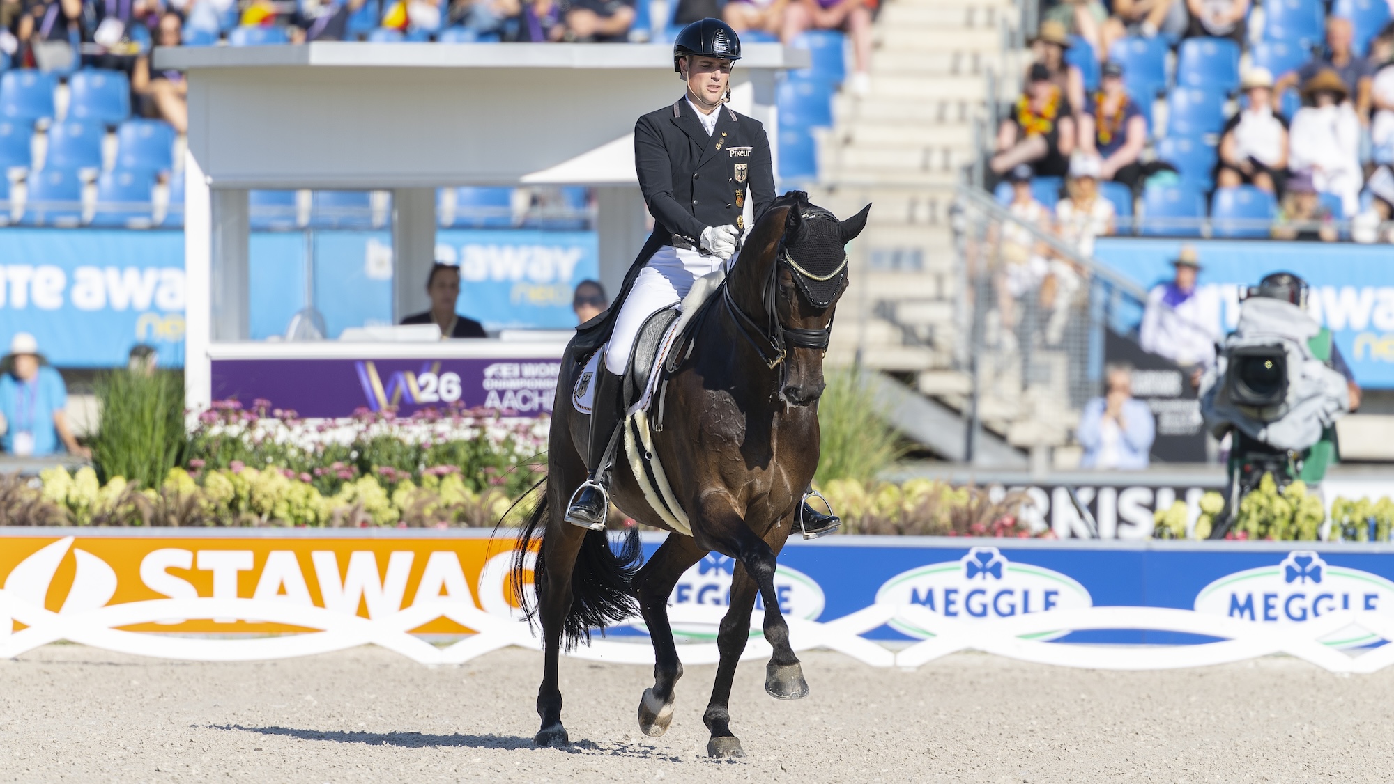 Image shows a dark horse trotting towards the camera in a dressage arena, with blue stands and advertising banners behind them