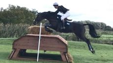 Horse bought for &pound;5 completes four-star event