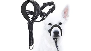 Dog head collar