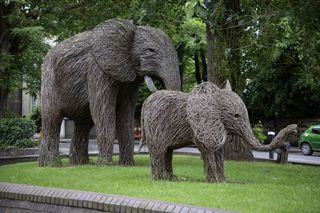 Image of wicker elephants standing on a green lawn, taken on the Sigma 18-50mm f/2.8 DC DN | C Canon RF