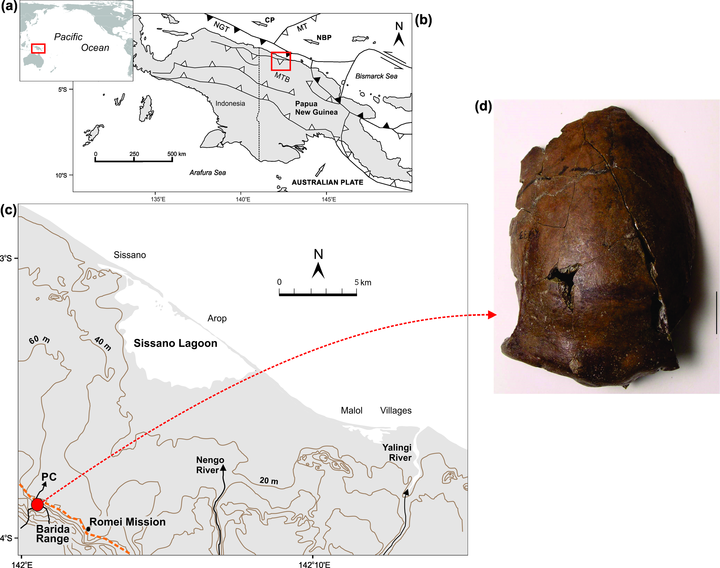 Site location and skeletal remains.