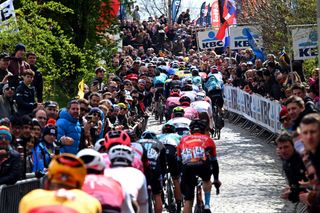 The Tour of Flanders peloton hits the cobbles