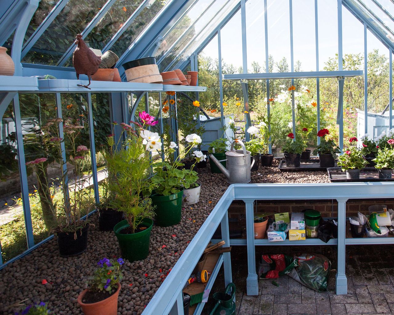 Greenhouse shelving ideas: 10 ways to store plants and tools | Gardeningetc