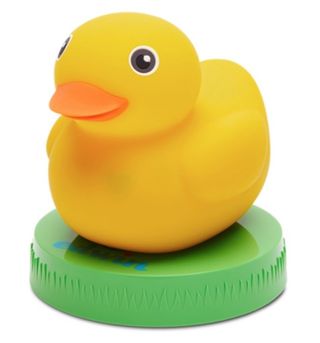 Edwin the Duck Learning Toy