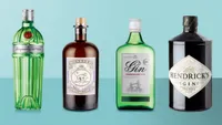 Learn the art of mixology