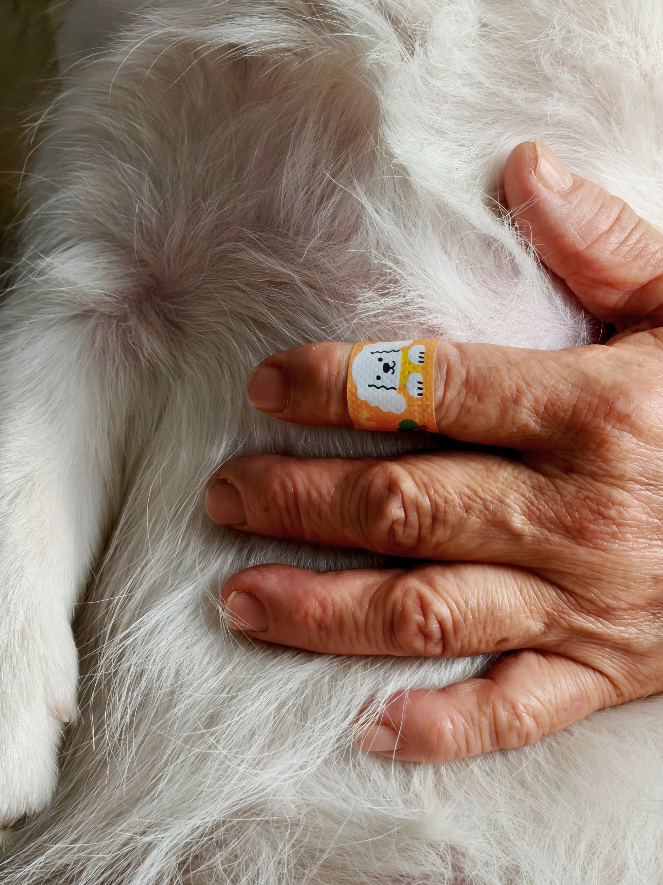 Oppo Photography Awards 2025 winning images