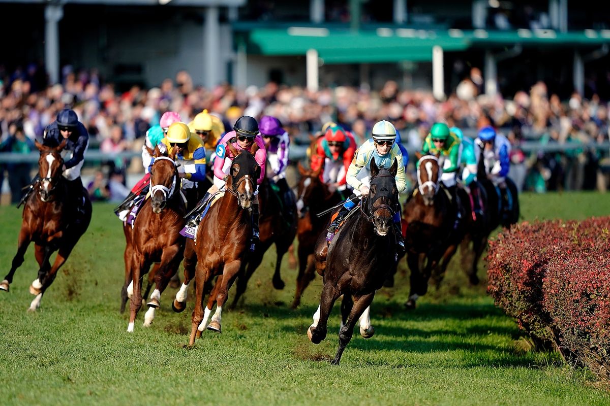 How to Watch the Breeders' Cup Stream Horse Racing's Championship
