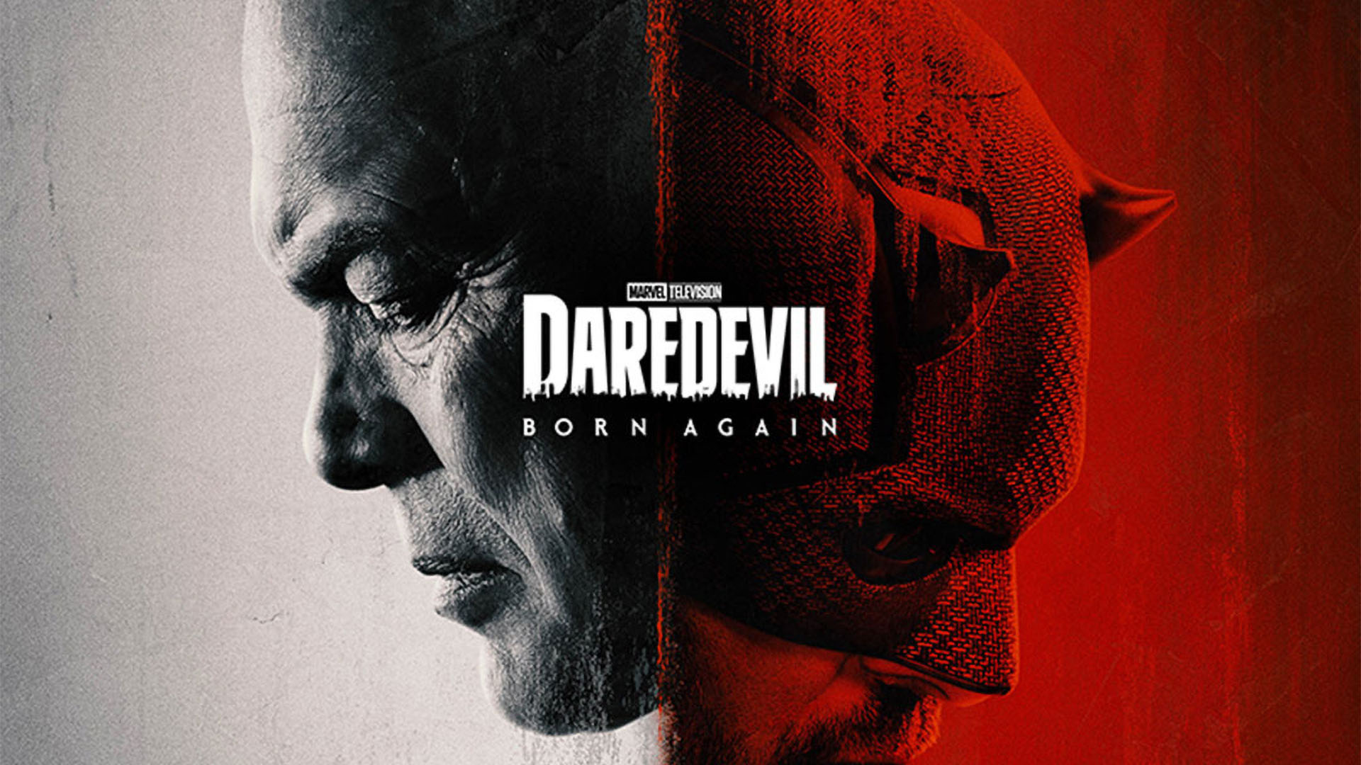 Daredevil: Born Again title screen
