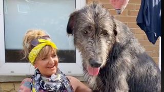 Claire Mather with one of her Irish Wolfhounds