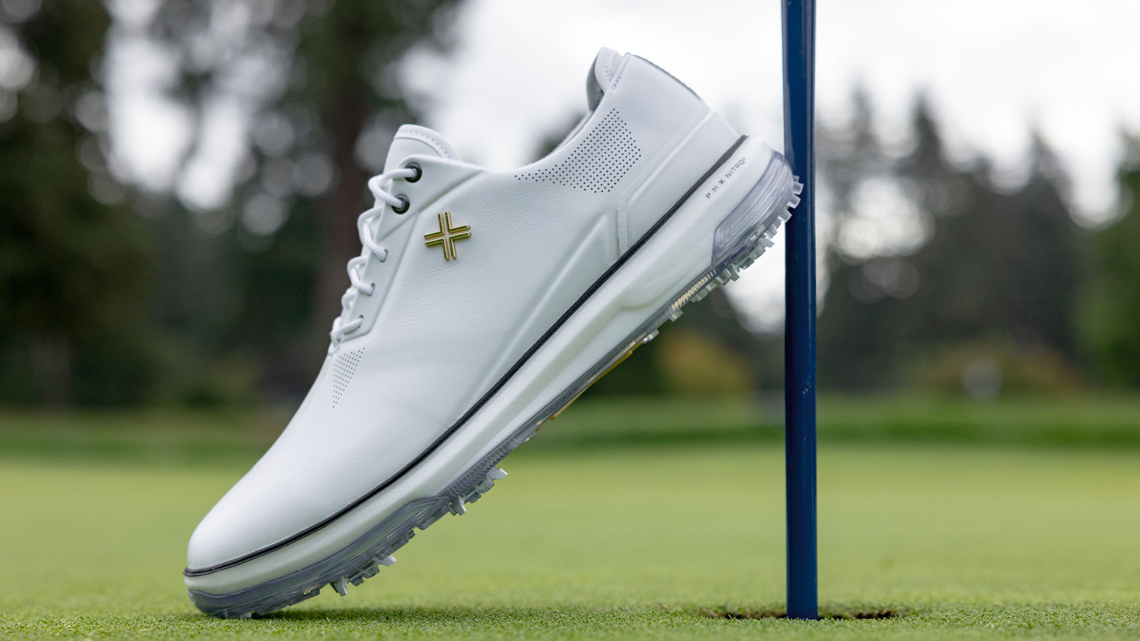 Payntr Eighty Seven SC golf shoe propped up against a golf pin