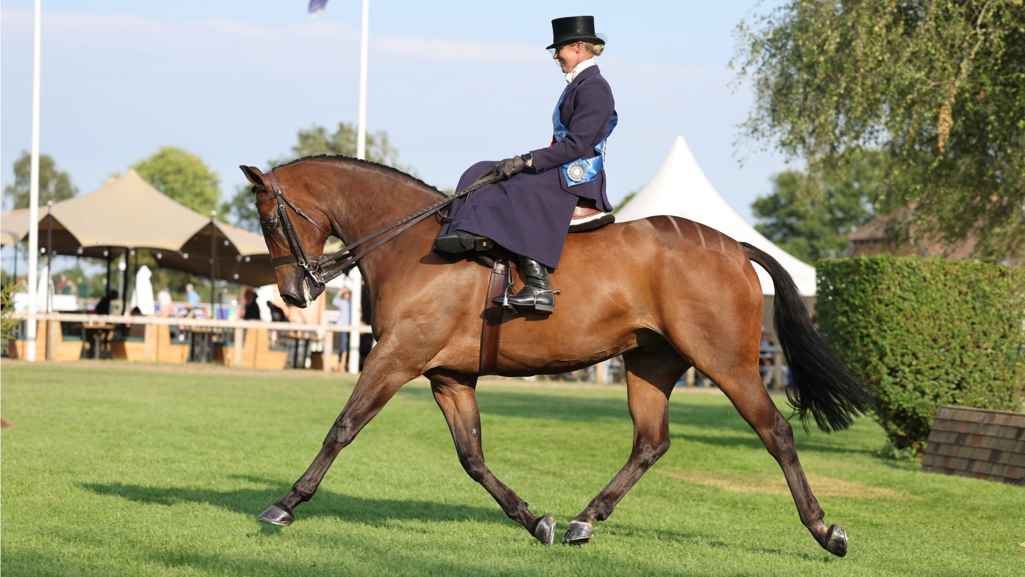 Lightweight hunter Tigbourne trots from the ring with Hannah Horton riding side saddle on board