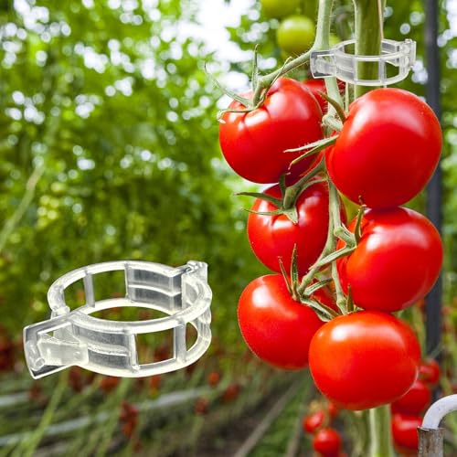 Dalzom&amp;reg; 300pcs Tomato Clips, Plastic Trellis Clips Plant Support Clips, Plant Clips for Support, Grape Vine, Tomato Vine, Vegetables Plants, Garden Clips to Grow Upright Makes Plants Healthier
