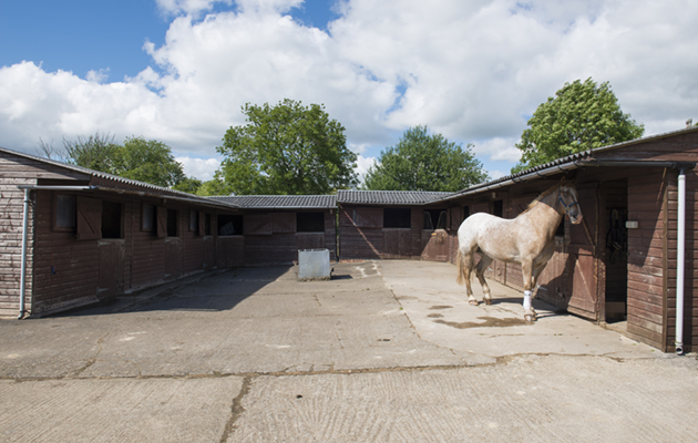 Upper Rushmire Farm-042